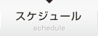 スケジュール